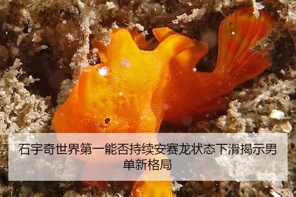 shi-yu-qi-shi-jie-di-yi-neng-fou-chi-xu-an-sai-long-zhuang-tai-xia-hua-jie-shi-nan-dan-xin-ge-ju-2-954.jpg